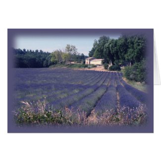 Lavender Haze Blank Art Card card