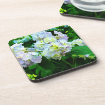 Lavender Hydrangea in Garden Coasters