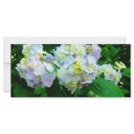 Lavender Hydrangea in Garden Customized Rack Card