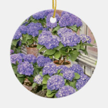 Lavender Hydrangea Macrophylla 'Enziandom' flowers Christmas Ornaments