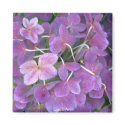 Lavender Hydrangea Magnet by CaroleArt Lavender Hydrangea Magnet