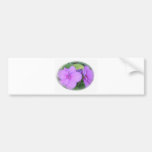 Lavender Impatients in Swirl Bumper Stickers