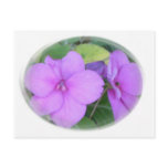 Lavender Impatients in Swirl postcards