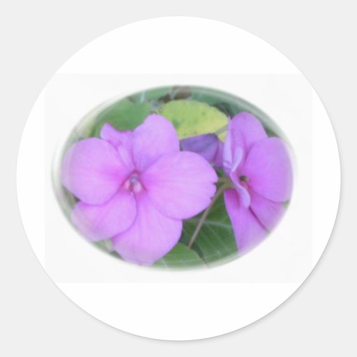 Lavender Impatients in Swirl Stickers