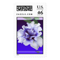 Lavender iris stamp by dollargrafix Lavender iris stamp