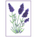 Lavender Ladies T-Shirt shirt