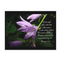 Lavender Lady Bells postcards by MAPASUE Lavender Lady Bells postcards