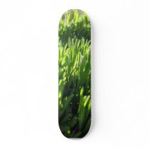 Lavender Leaves At Sunrise skateboards by lifesphere Lavender Leaves At Sunrise skateboards