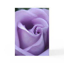 Lavender Love cards by CYNTHIA61564 Lavender Love cards