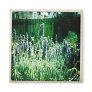 Lavender Magnet