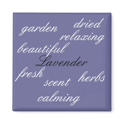 Lavender - magnet by seashell2