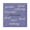Lavender - magnet