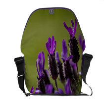 Lavender Messanger Bag messenger bags