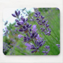 Lavender Mouse Mats
