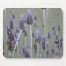 Lavender Mouse Pads