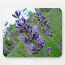Lavender mousepads