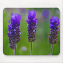 lavender mousepad