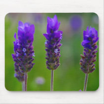 lavender mousepads