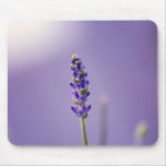 Lavender Mousepad mousepads