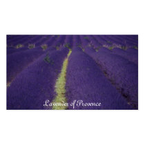Lavender of Provence business cards by mag26s Lavender of Provence business cards