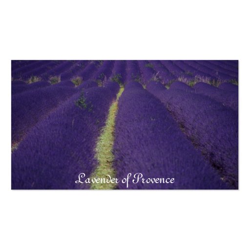 Lavender of Provence Business Card Templates (front side)