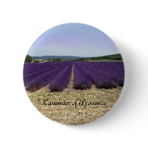 Lavender of Provence buttons by mag26s Lavender of Provence buttons
