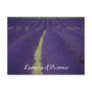 Lavender of Provence Post Cards