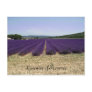 Lavender of Provence Postcards