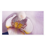Lavender Orchid Business Card Templates