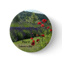 Lavender & Poppies Pins