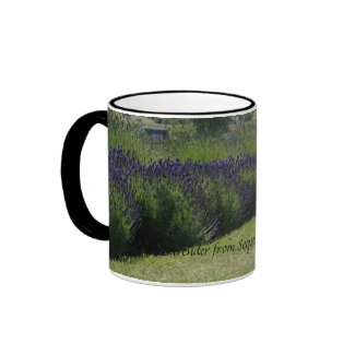 Lavender & Poppies mug