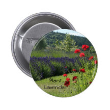 Lavender & Poppies Pins