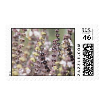 Lavender postage
