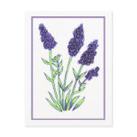 Lavender Postcard