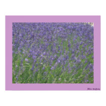 Lavender posters by ask2908 Lavender posters