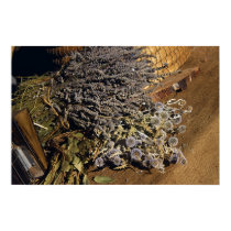 Lavender posters by Maciej_Frolow Lavender posters