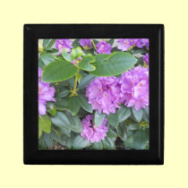 Lavender Rhododendren photo by gbillips gift boxes