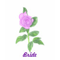 Lavender rose Bride shirts shirt