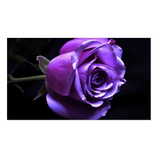 lavender rose business cards