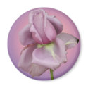 Lavender Rose magnet by Lesleysloft Lavender Rose magnet
