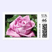 Lavender Rose postage