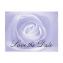 Lavender Rose, Save the Date Post Card postcards by CyrScenes Lavender Rose, Save the Date Post Card postcards