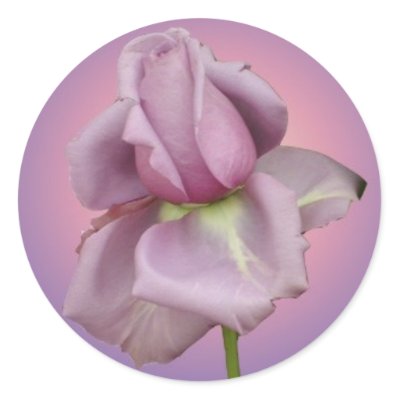 Lavender rose sticker