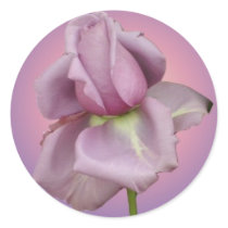 Lavender rose sticker by Lesleysloft Lavender rose sticker