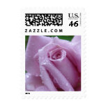 Lavender Rose with Raindrops Wedding Stamp