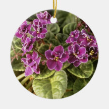 Lavender Saintpaulia 'Purple Choice' (African Viol Christmas Tree Ornaments