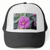 Lavender Saintpualia 'Precious Moments' (African V Trucker Hats
