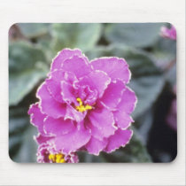 Lavender Saintpualia 'Precious Moments' (African V Mouse Pad