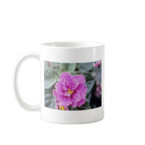 Lavender Saintpualia 'Precious Moments' (African V Mugs