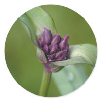 Lavender Spiderwort Flower Stickers